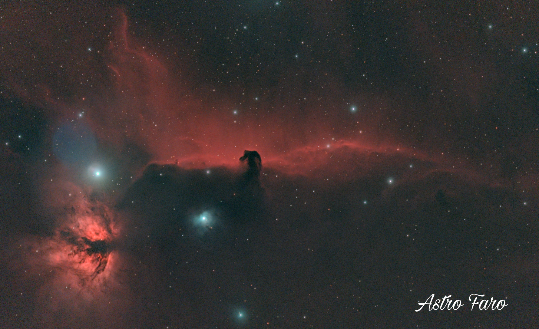 From a Balcony in Portugal to Sharing the Cosmos with Everyone